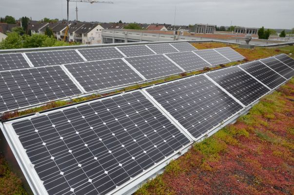 Die neue Solaranlage – umgeben von Dachbegrünung – ist größer, moderner und bietet die Möglichkeit, in der Lehre gezielt Verschaltungsfehler zu simulieren. (Foto: FH Münster/Pressestelle) 