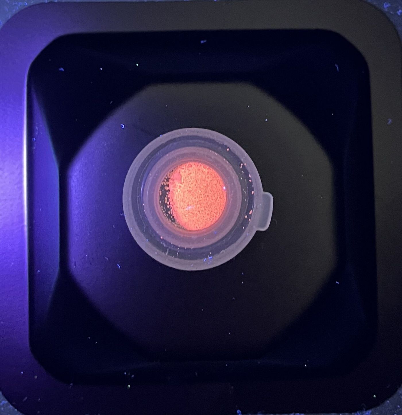 Ein Stoff unter einem Mikroskop leuchtet rot. (Foto: FH Münster/Jan Kappelhoff)