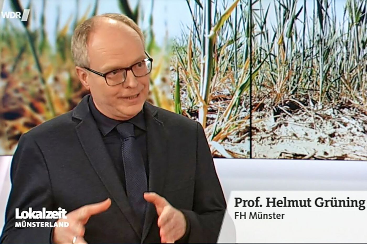 Prof. Dr. Helmut Grüning in der WDR-Lokalzeit Münsterland