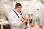 Eine Frau untersucht Proben in einem Labor. (Foto: FH Münster/Frederik Tebbe)