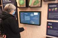 Eine Frau blickt auf einen Touchbildschirm, auf dem sie Infos über Gemüse liest.