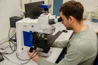Ein Mann untersucht eine Probe an einem Mikroskop.